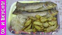 Белый амур с картошечкой